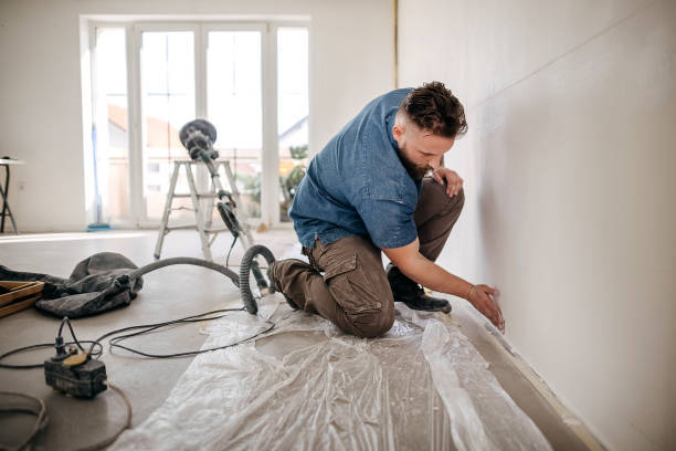 Best Drywall Sanding and Smoothing  in Vla Grove, IL